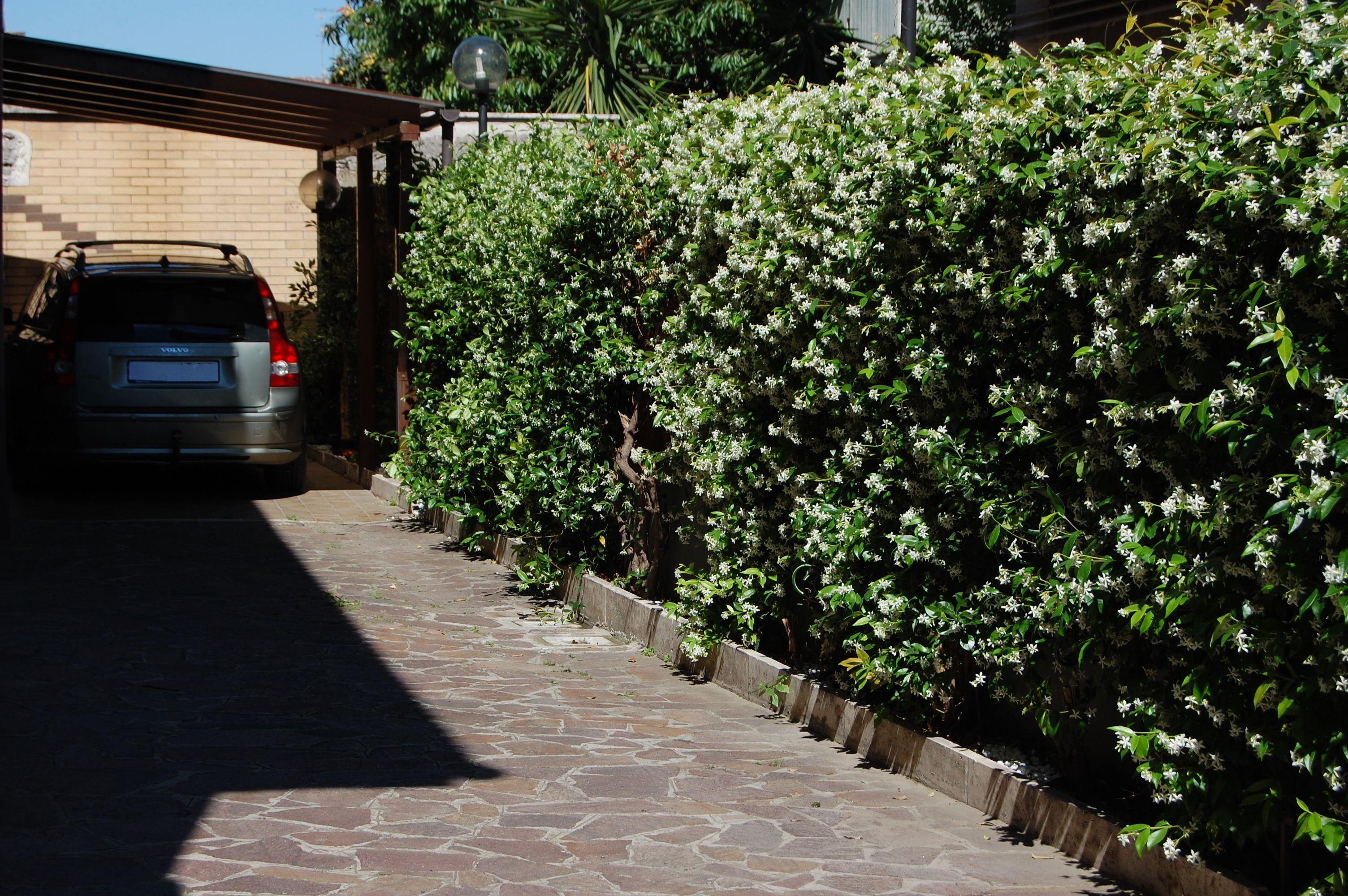 B&B Goodday Roma Tor Vergata — Photos 2